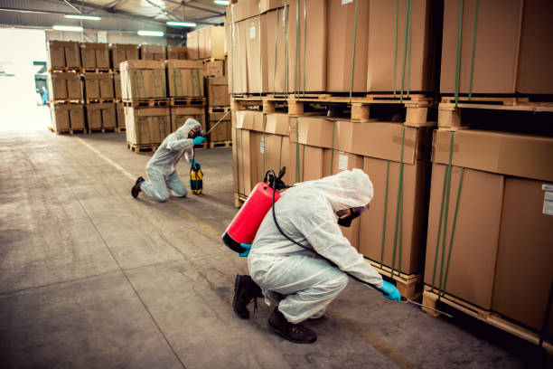 Best Emergency Pest Control  in San Ramon, CA