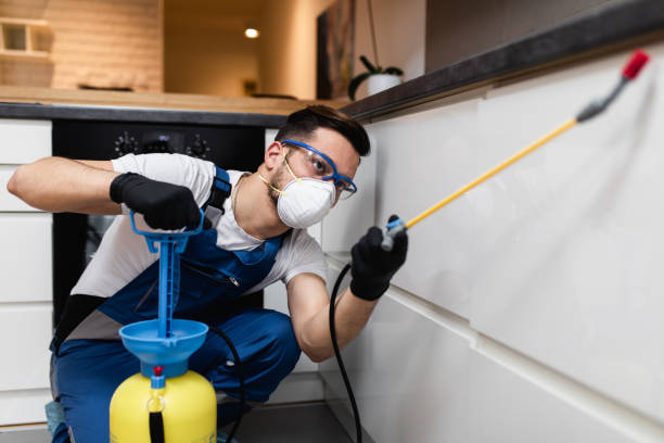 Best Pest Inspection Near Me  in San Ramon, CA