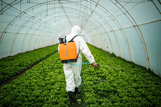Professional Pest Control in San Ramon, CA