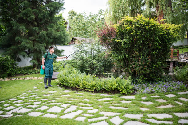 Best Wildlife Control Services  in San Ramon, CA