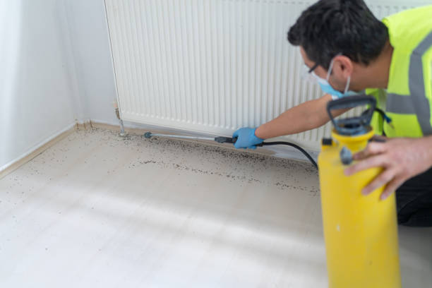 Pest Prevention Services in San Ramon, CA